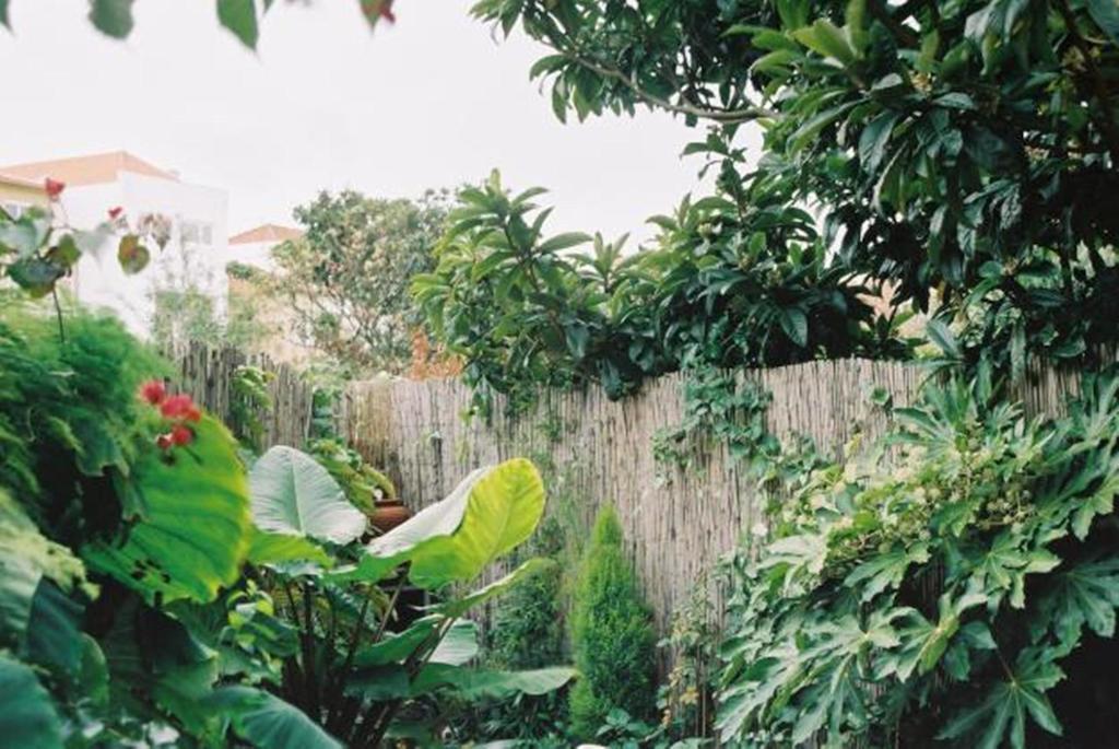 Apartment With Private Garden ปอร์โต ห้อง รูปภาพ